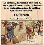 A méditer... -  voir en grand cette image"
