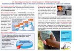 Document -  voir en grand cette image"