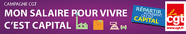 http://www.cgt.fr/La-CGT-lance-une-campagne-sur-le.html