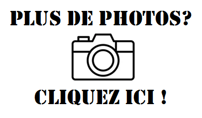 https://photos.app.goo.gl/H9kh4KyKUj7wn2AT8